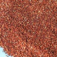 Ragi Whole 1kg